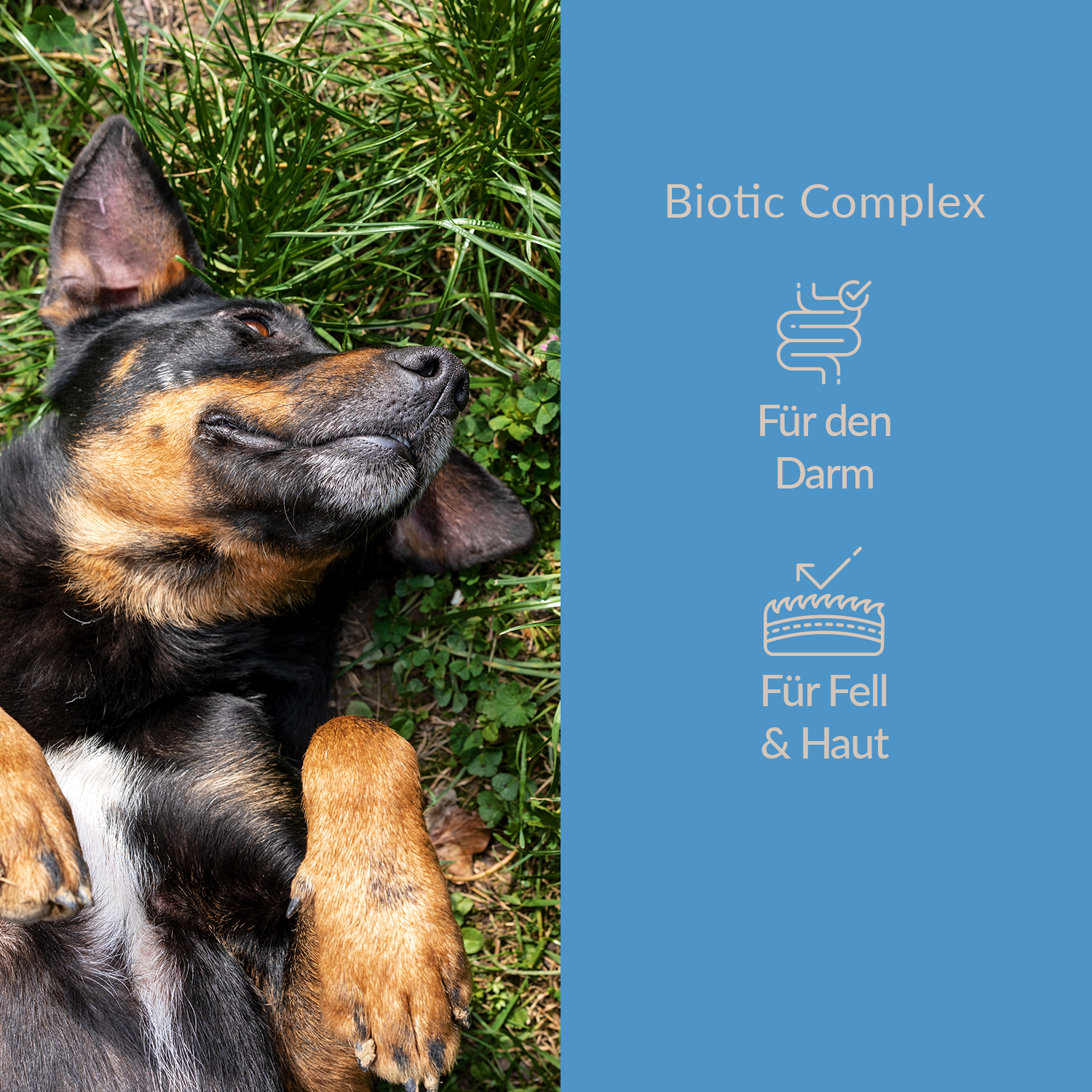 Biotic Complex