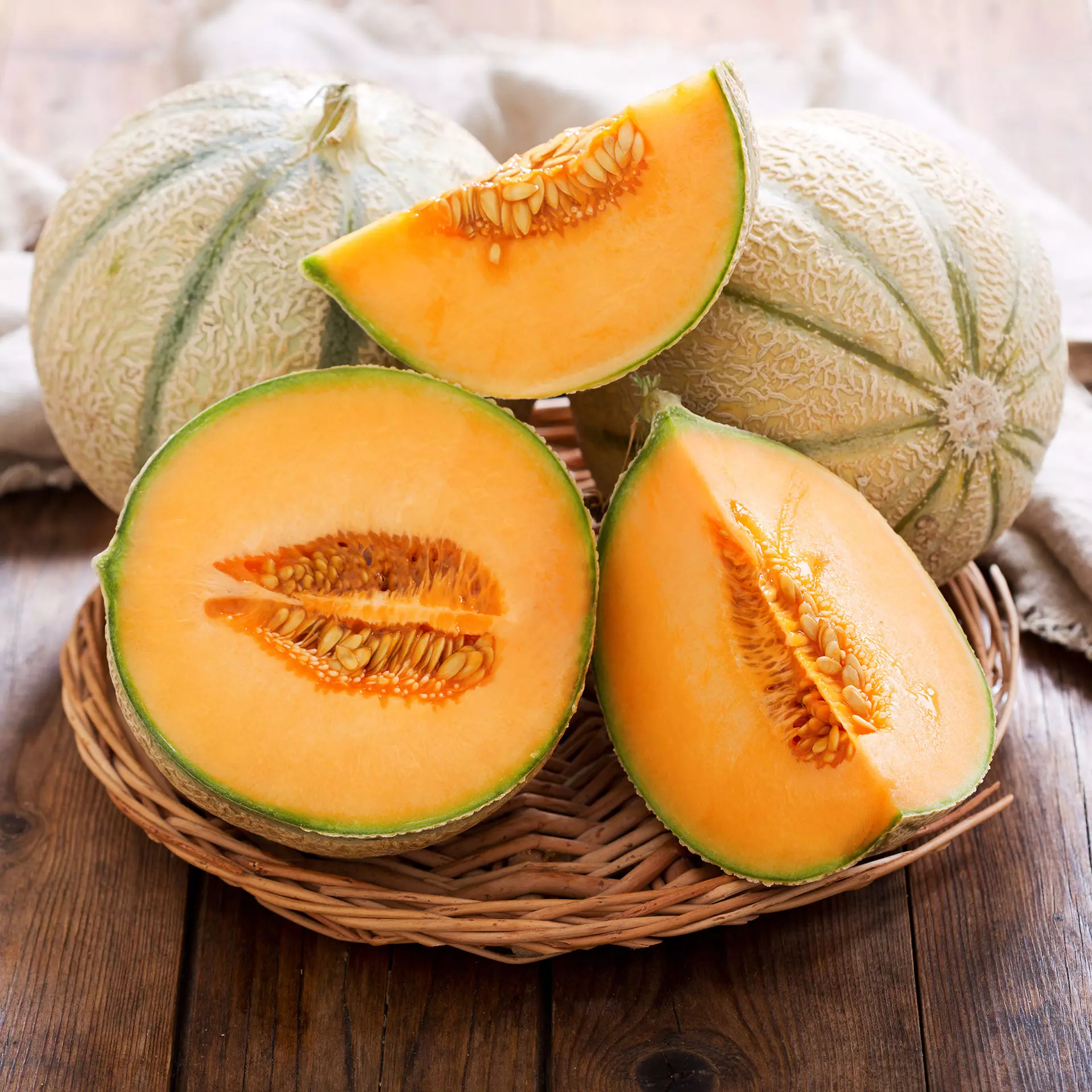 Dogcs Memorycomplec Bild Melone Dogcs Memorycomplec Bild Melone
