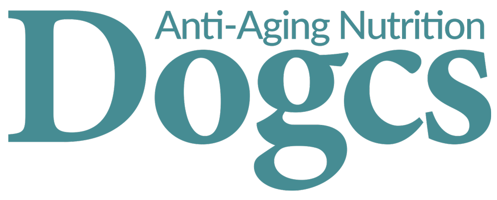 Zur Startseite gehen