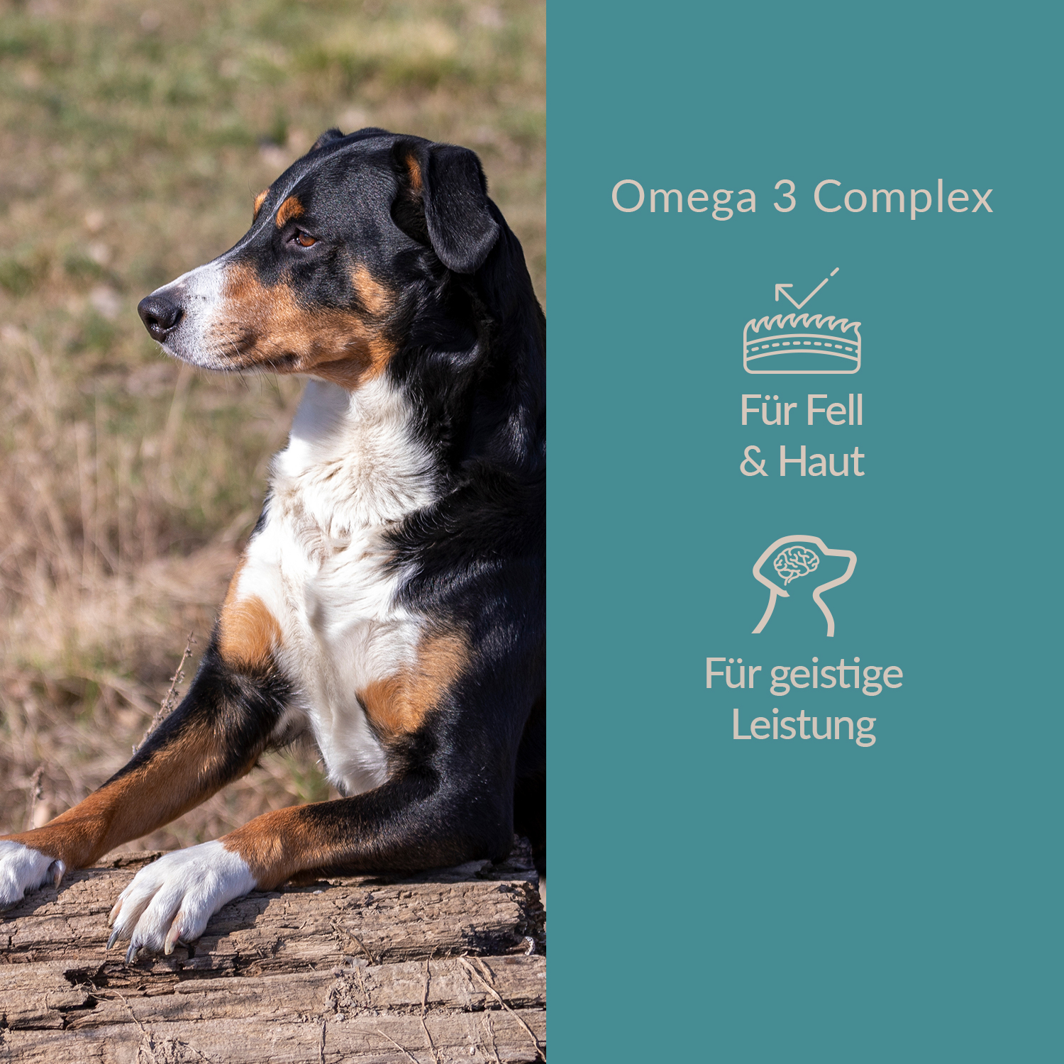 Omega3 Complex Dreierpack 3x 50g