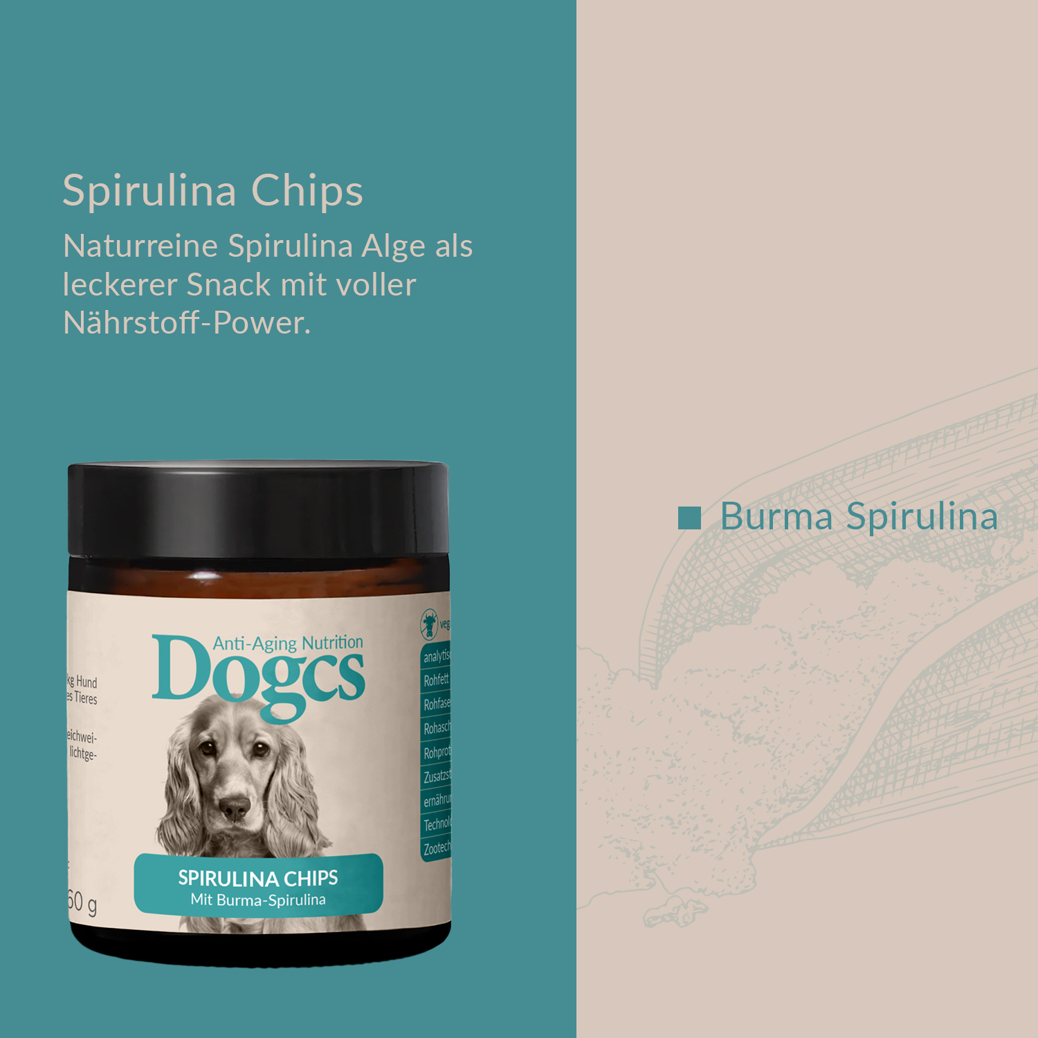 Spirulina Chips Dreierpack 3x 60g
