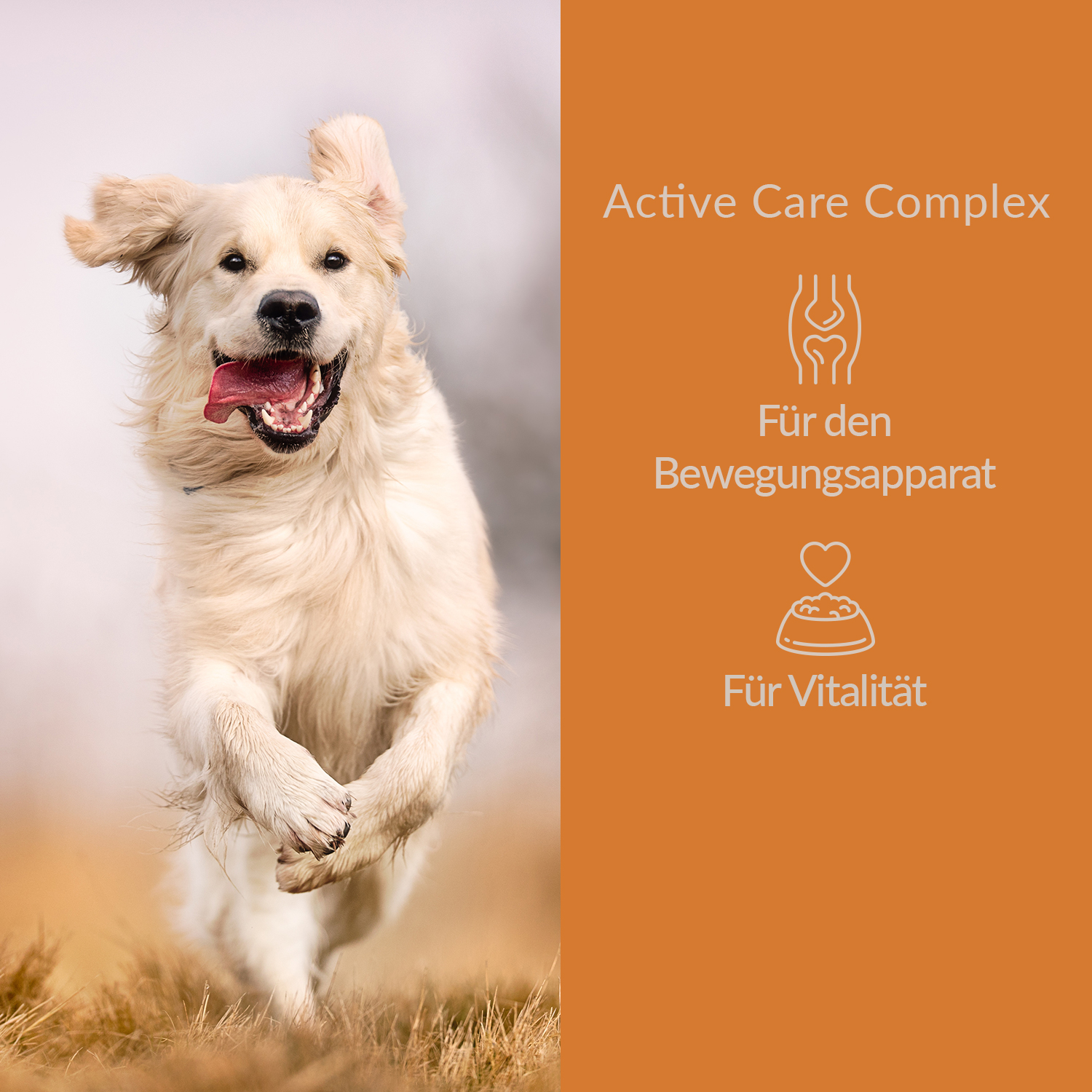 Active Care Complex Doppelpack 2x 80g