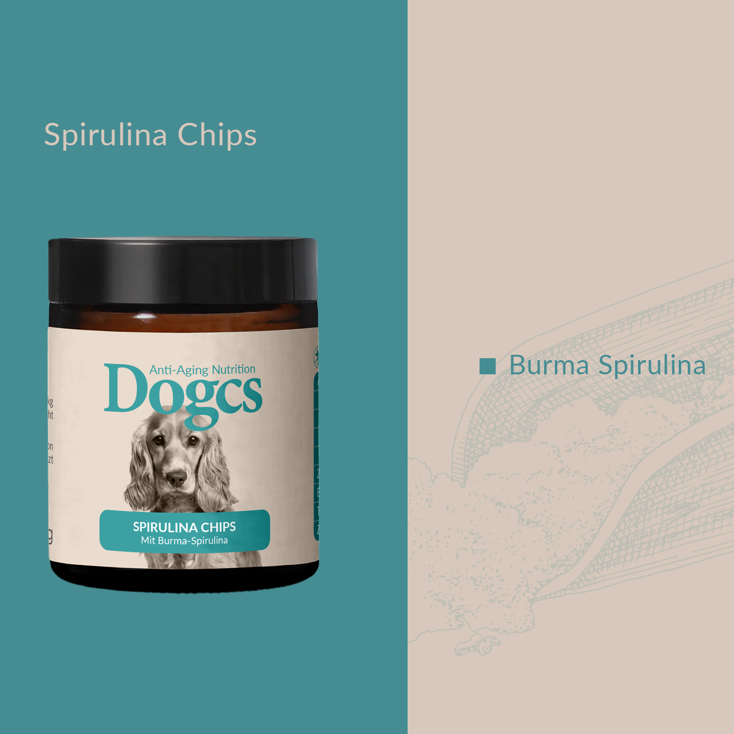 Spirulina Chips 120g