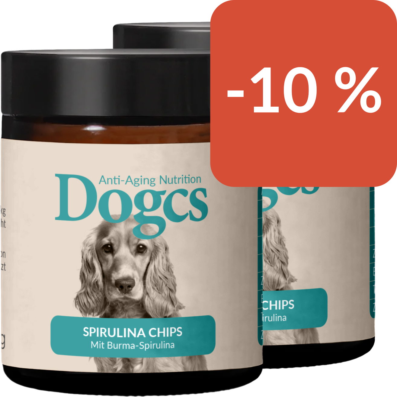 Spirulina Chips 120g im Doppelpack 2x 120g