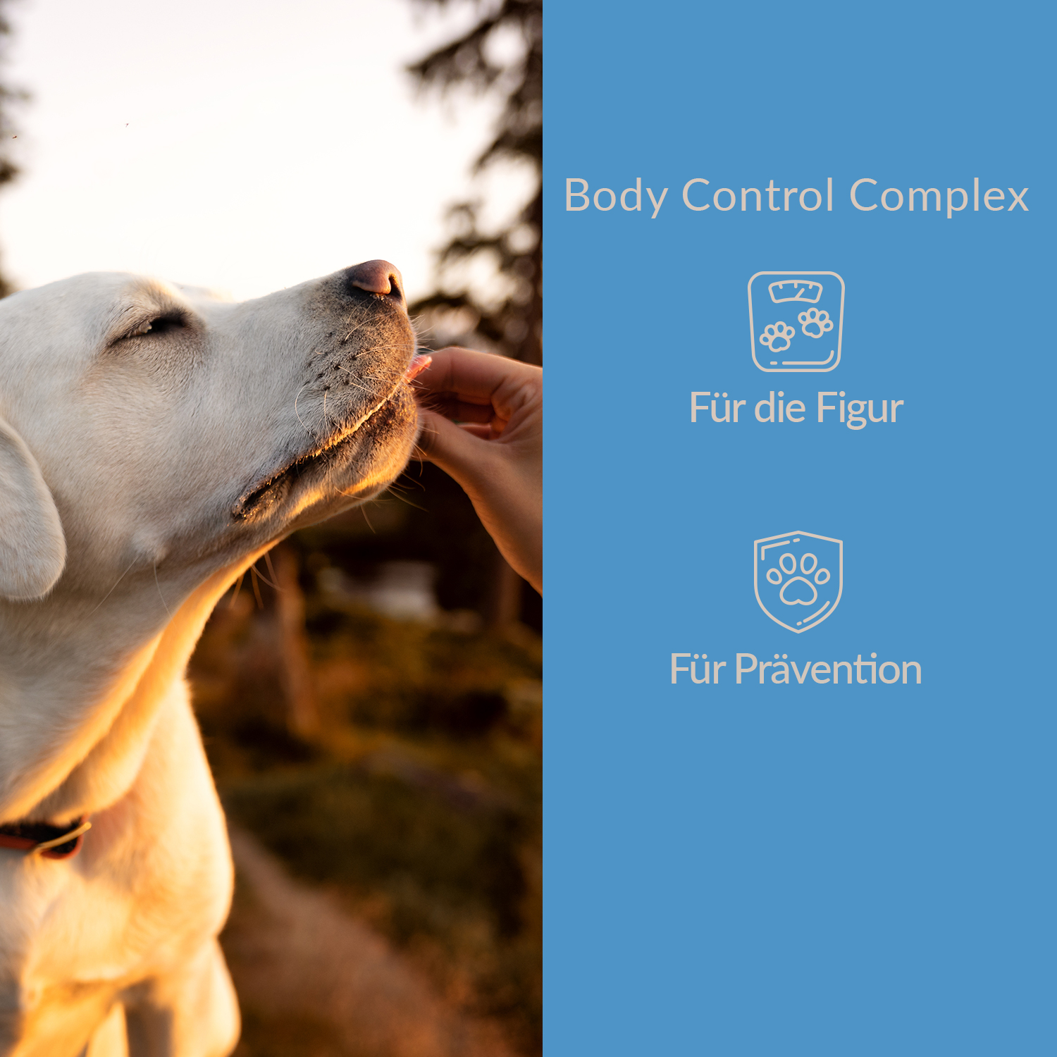 Body Control Complex Doppelpack 2x 90g