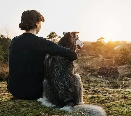 Dogcs Anti Aging Foto Hund Dogcs Anti Aging Foto Hund