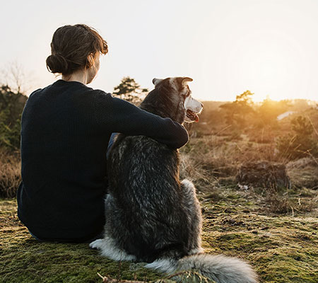 Dogcs Anti Aging Foto Hund